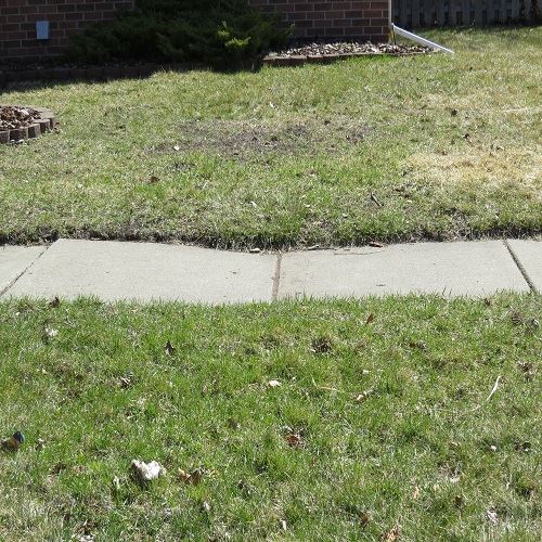 signs of ponding 500x500