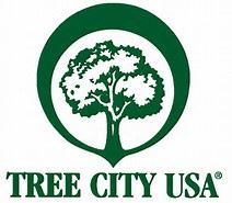 tree city